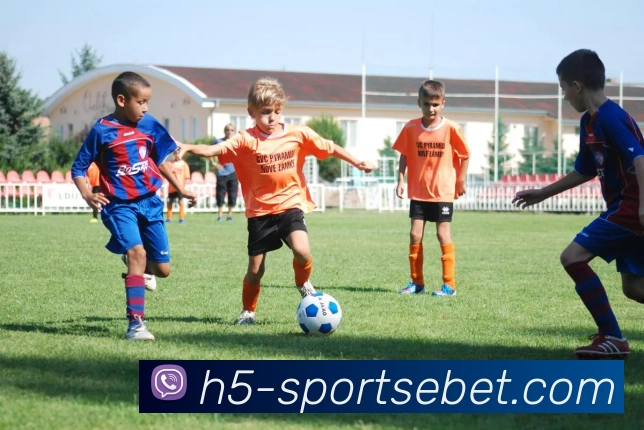 易倍体育APP 高清赛事图